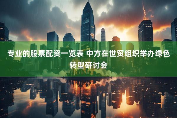 专业的股票配资一览表 中方在世贸组织举办绿色转型研讨会