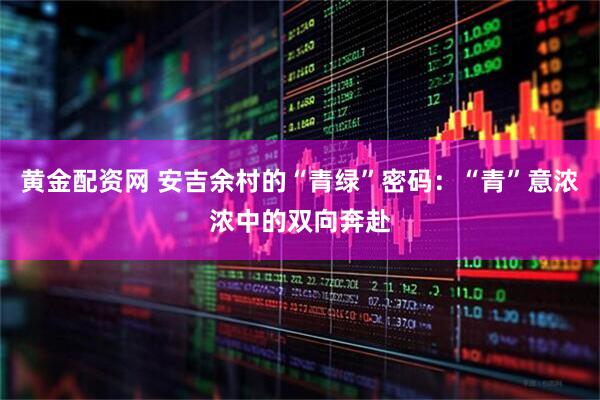 黄金配资网 安吉余村的“青绿”密码：“青”意浓浓中的双向奔赴
